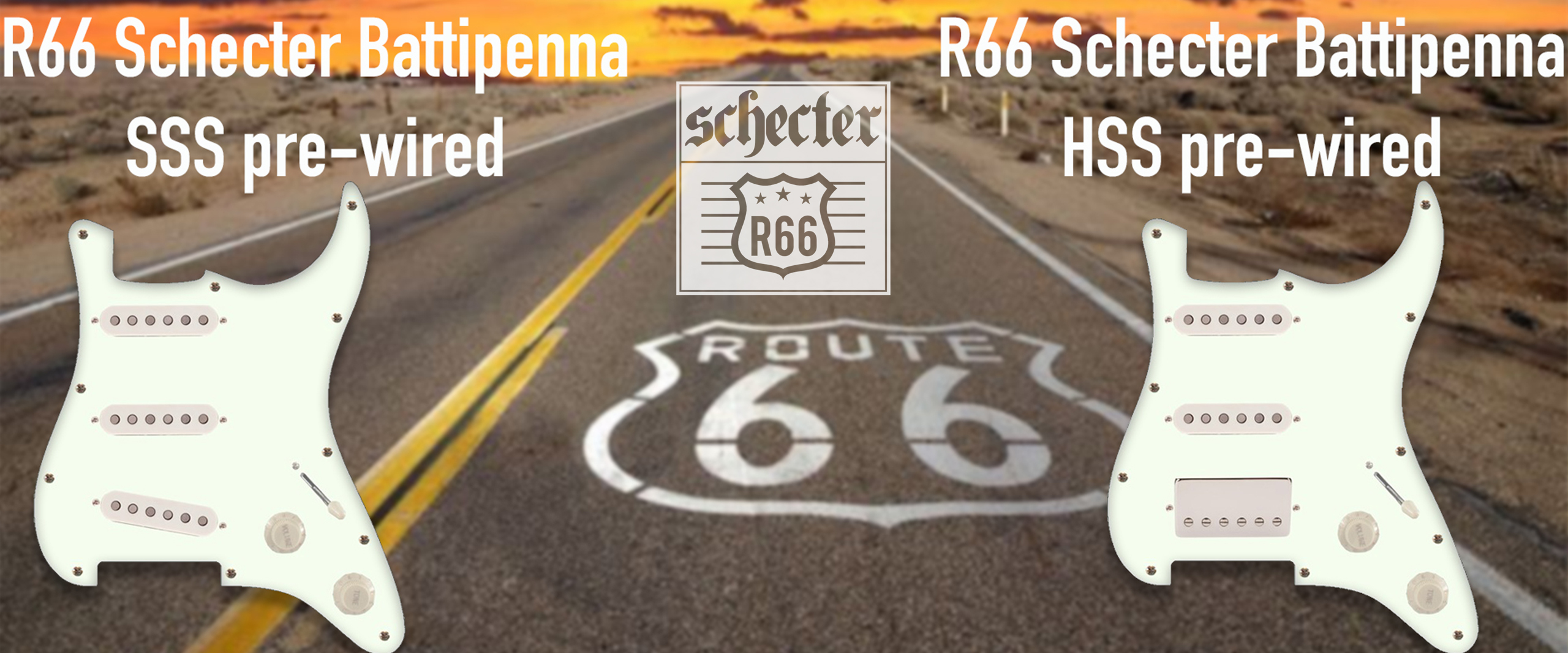 SCHECTER-R66-SITO
